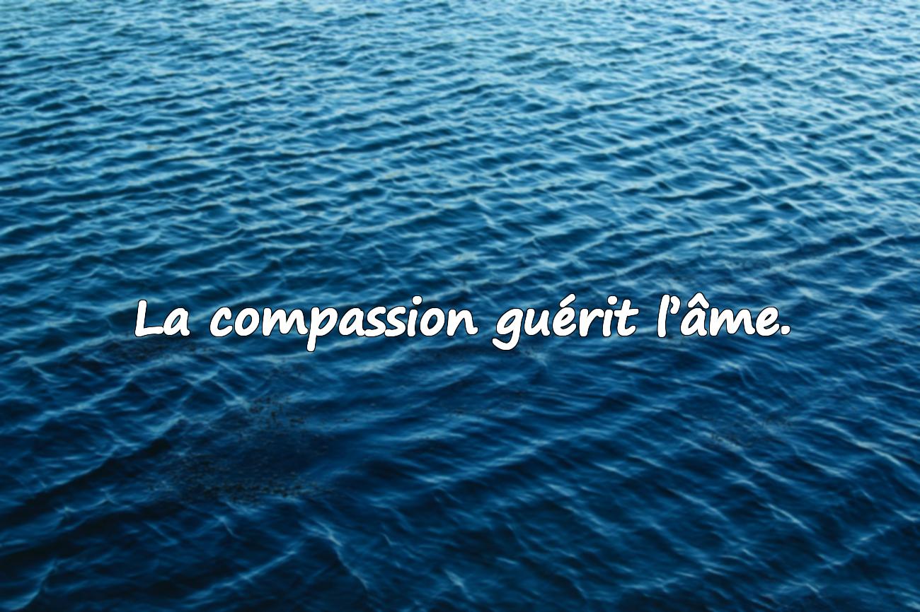 bienveillance citation