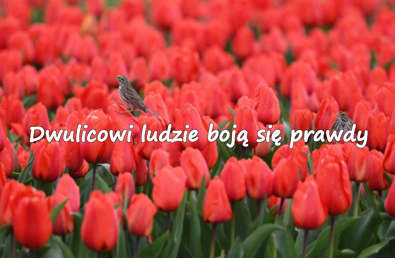 amour amitié citation