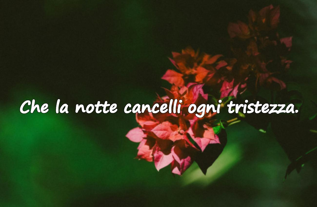 citation bebe