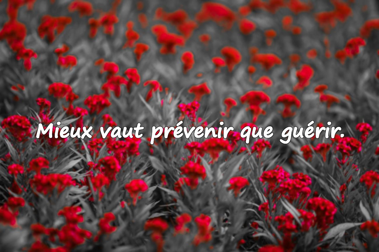 proverbe de sagesse
