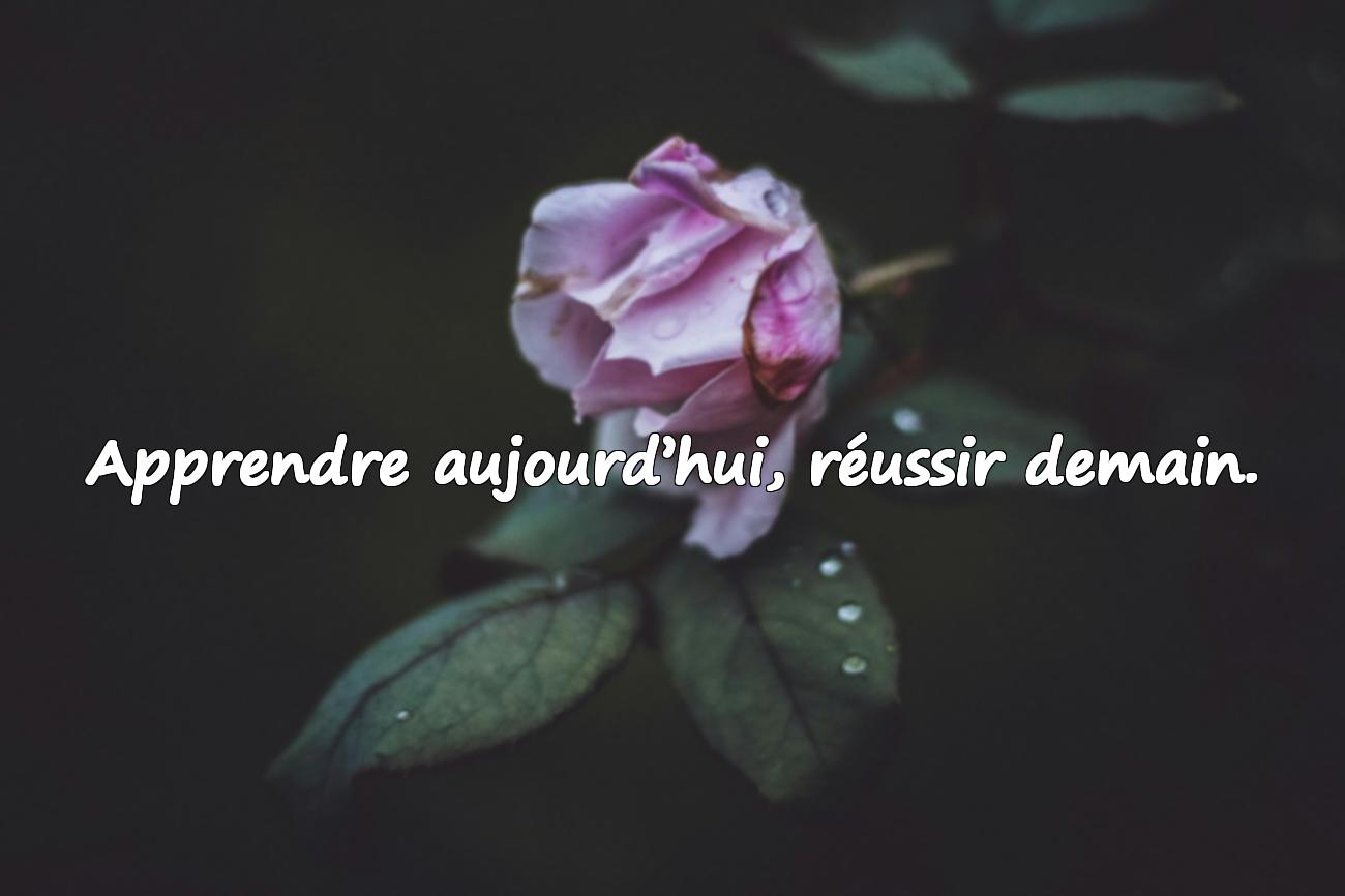 Citations Rentrée Scolaire