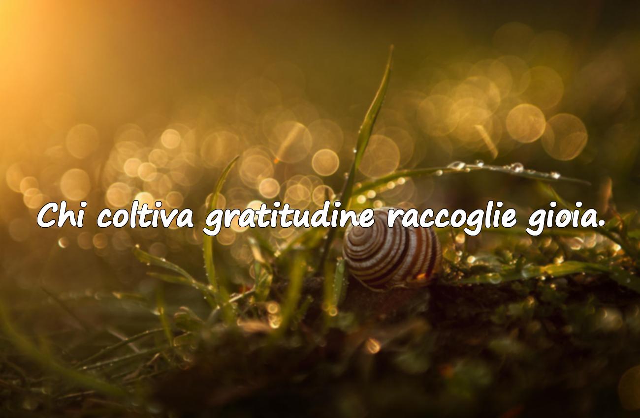 Citations sur l’Amour et la Famille