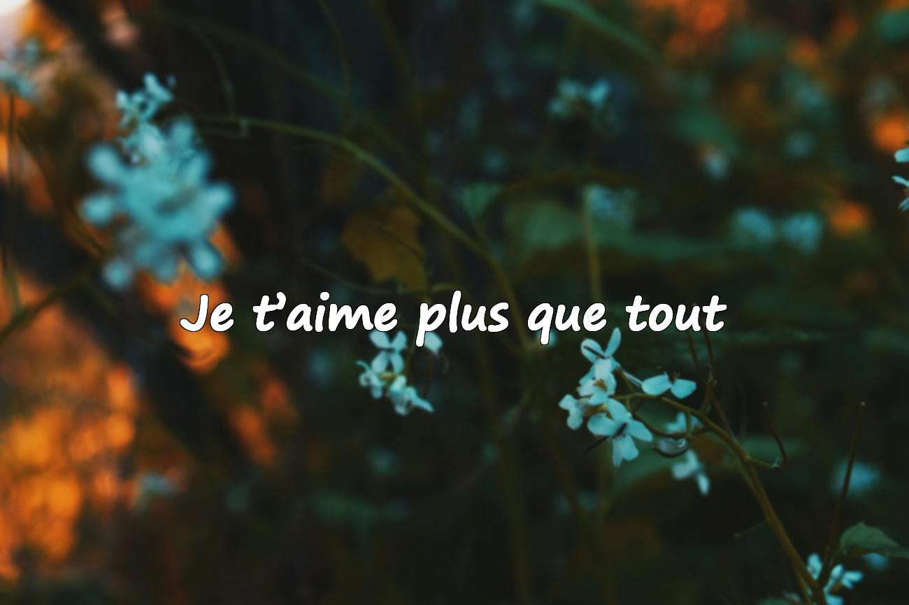 phrase d amour