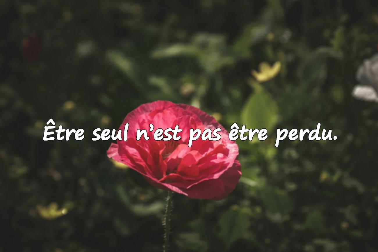 Citations sur la Solitude