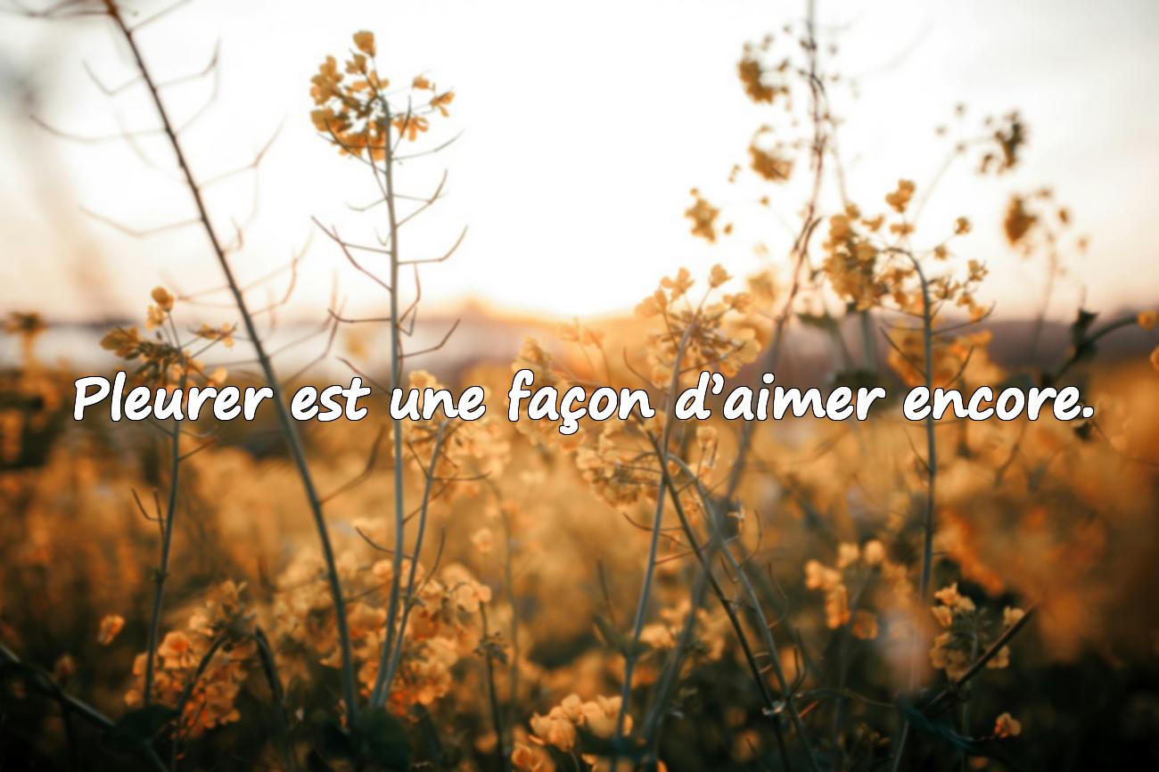 Citations Deuil