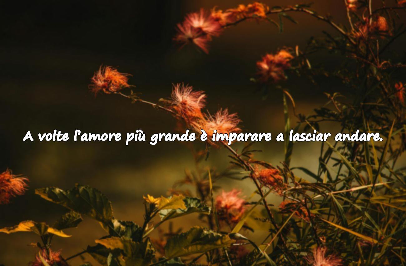 Citations sur les Animaux