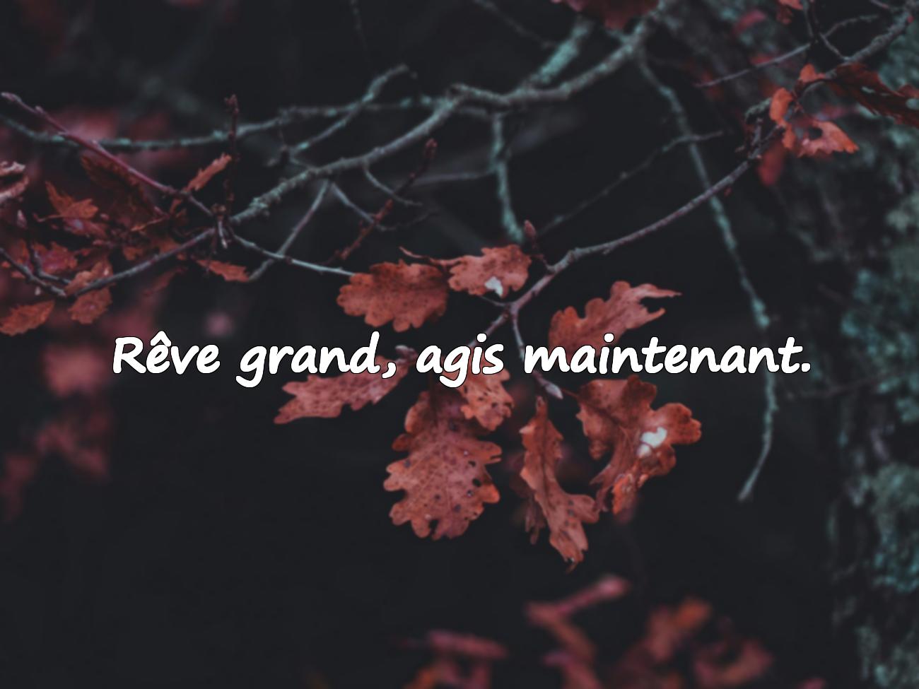 Citation du Jour