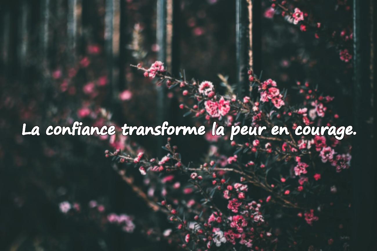 Citations Confiance