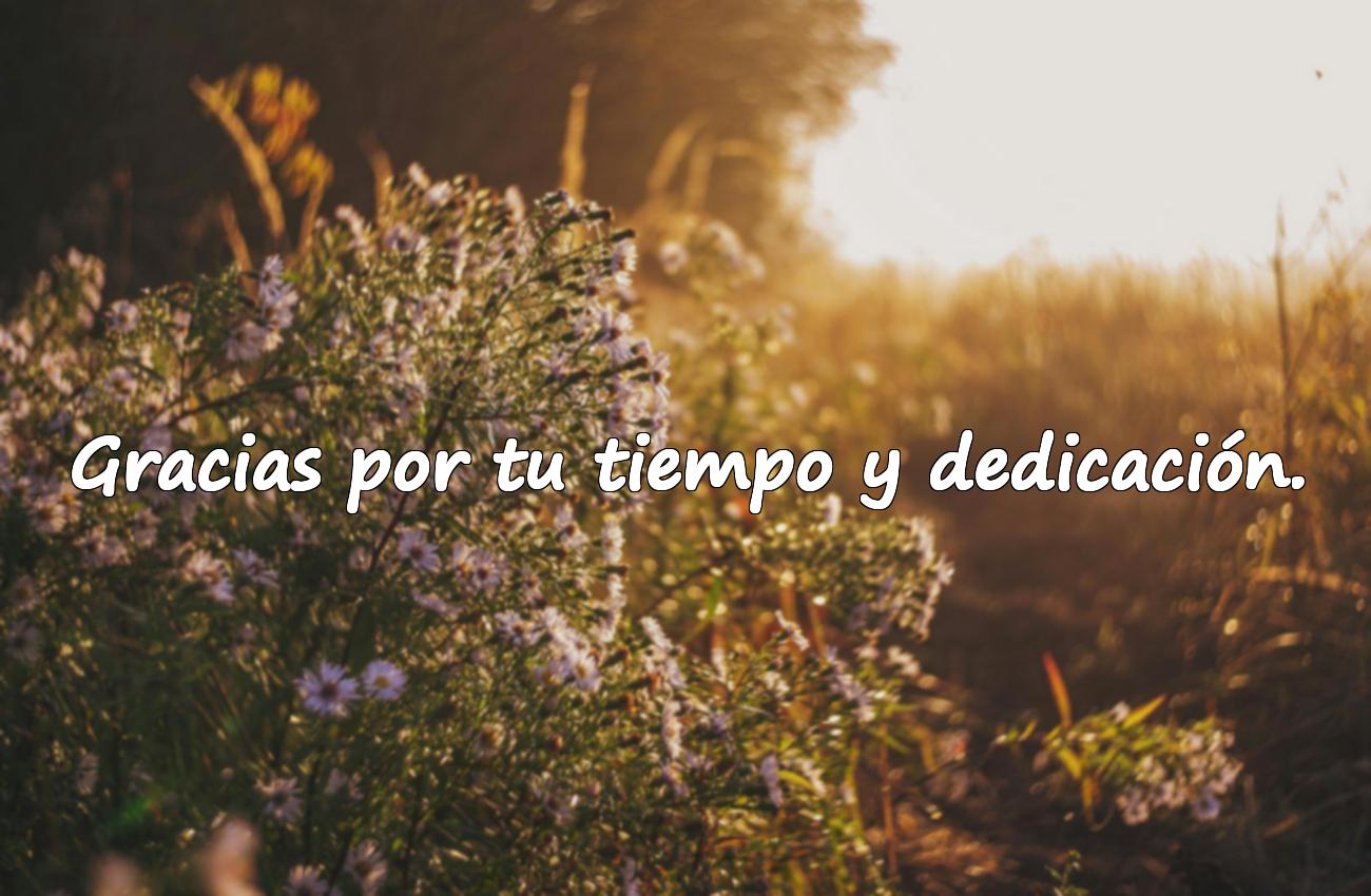 palabras de agradecimiento