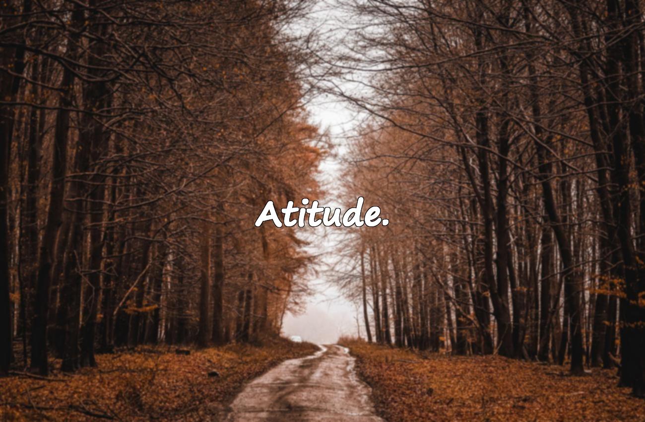 palavras de motivação