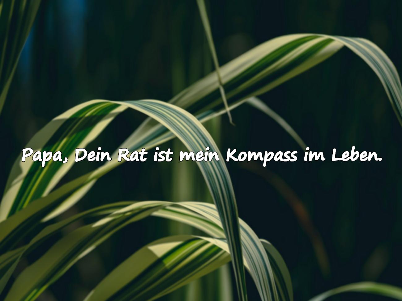 papa tochter sprüche