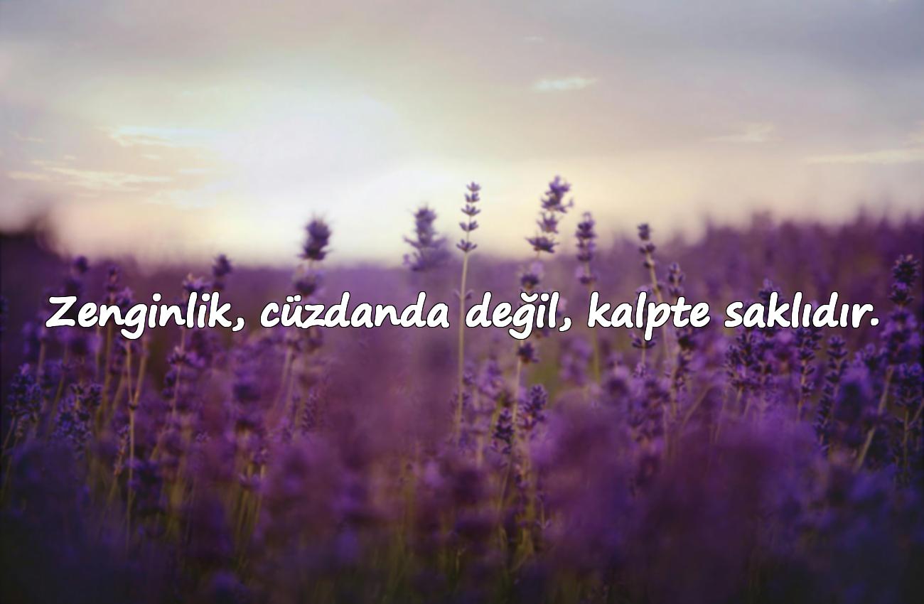 para ile ilgili sözler tr