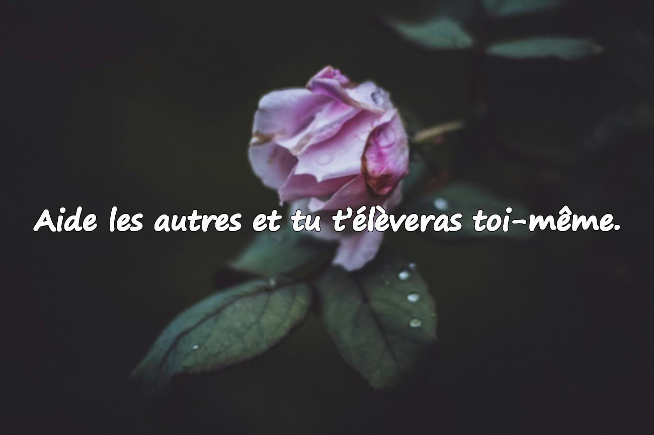 Paroles de Sagesse sur la Vie