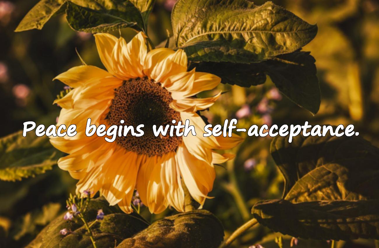 Peace Inspirational Quotes