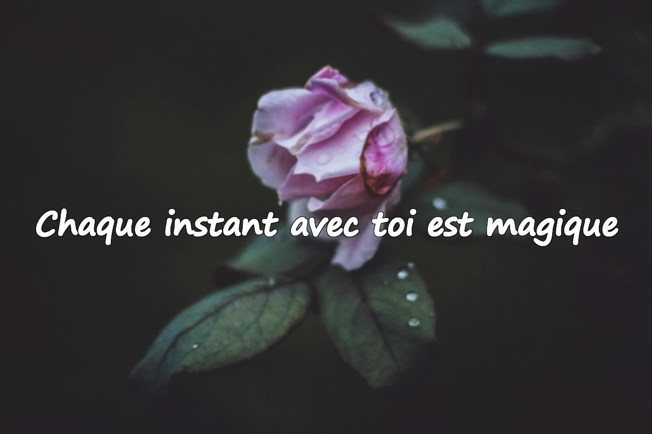 phrase d amour
