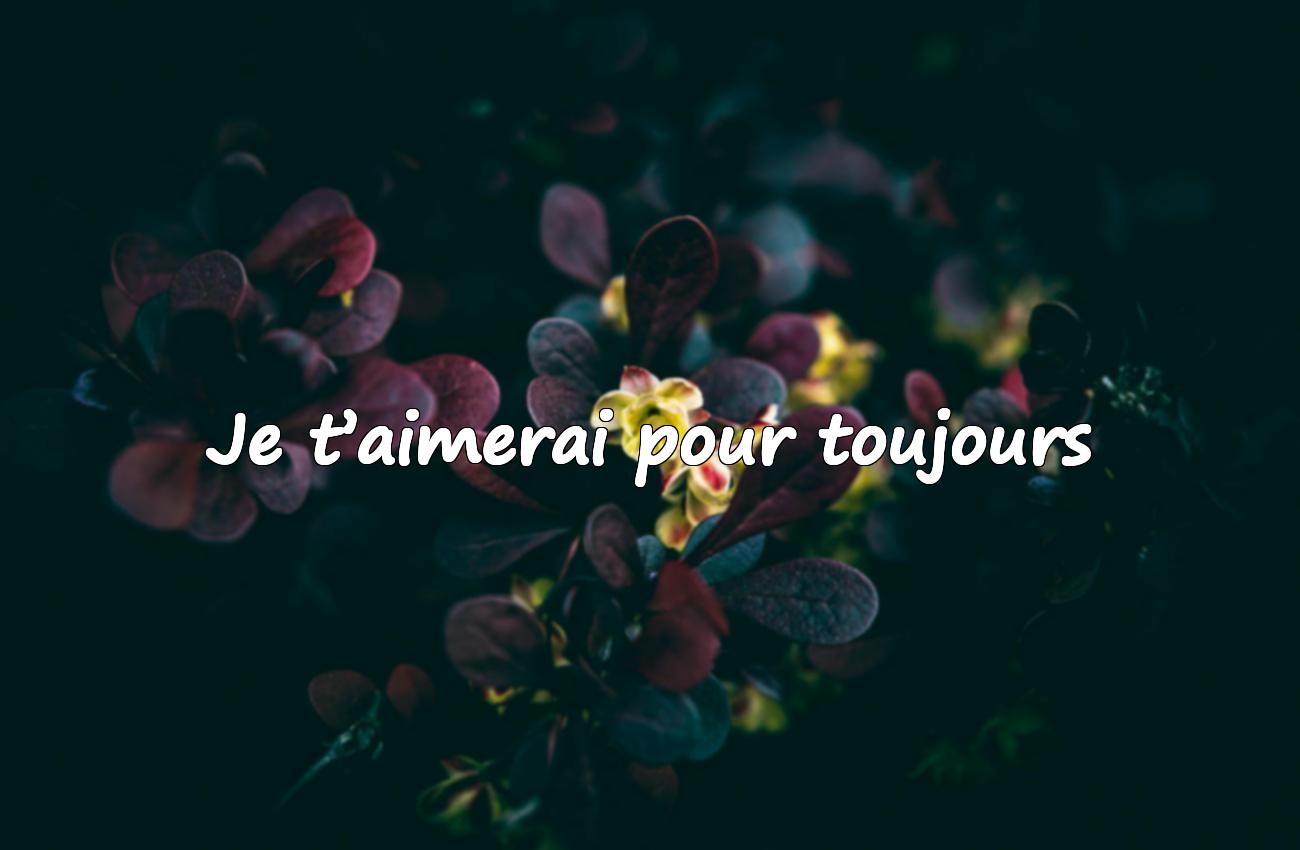 phrase d amour
