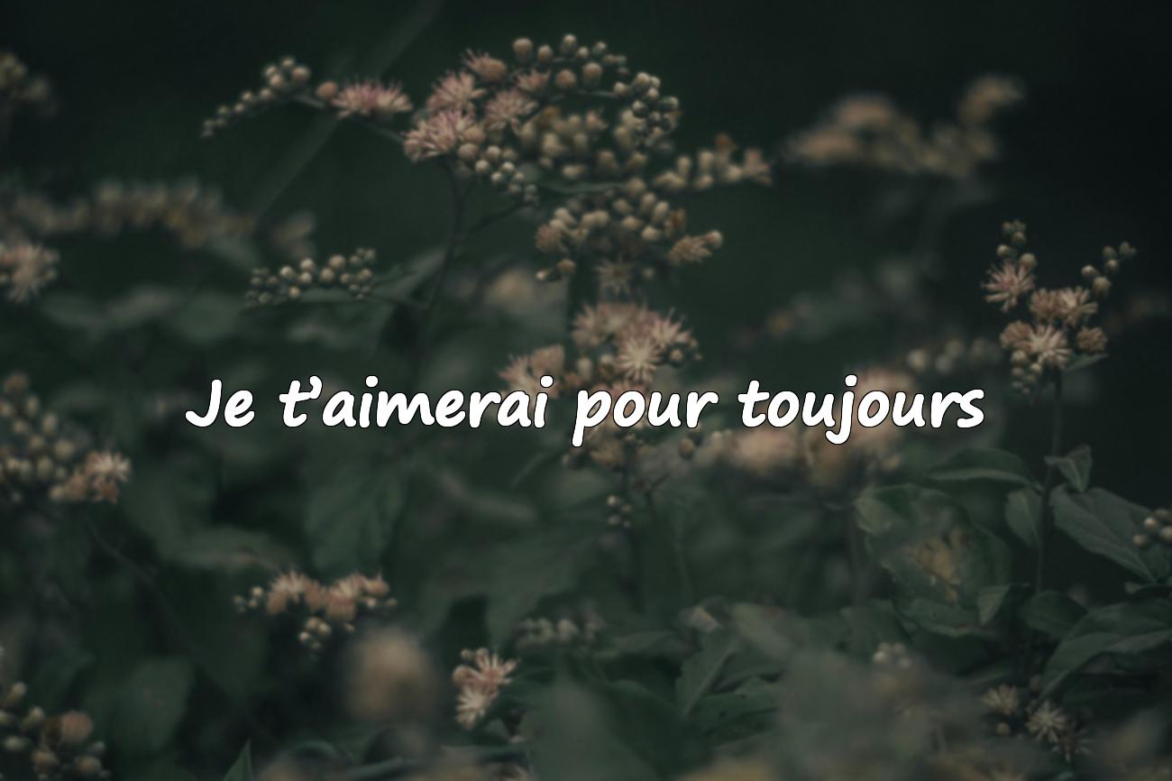 phrase d amour