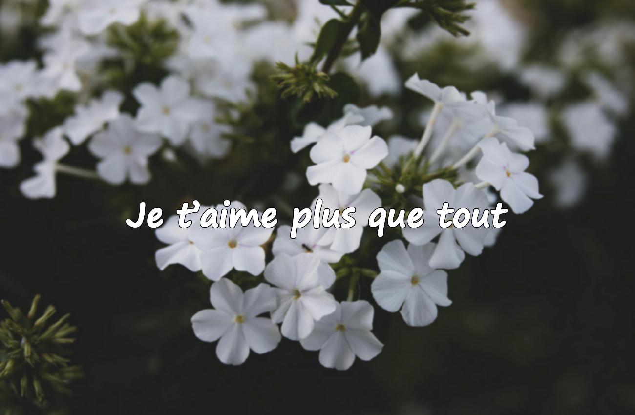 phrase d amour