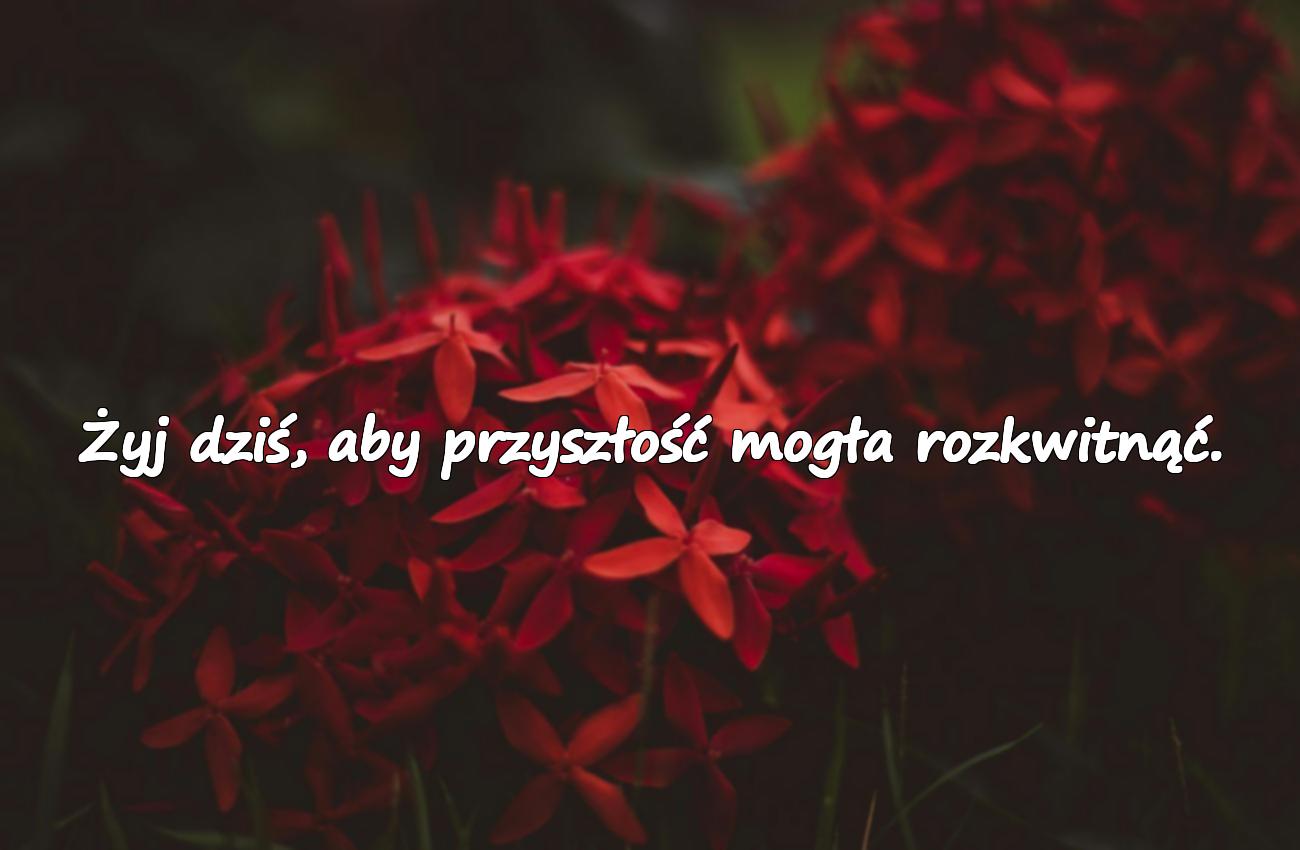 Piękne cytaty o przyszłości