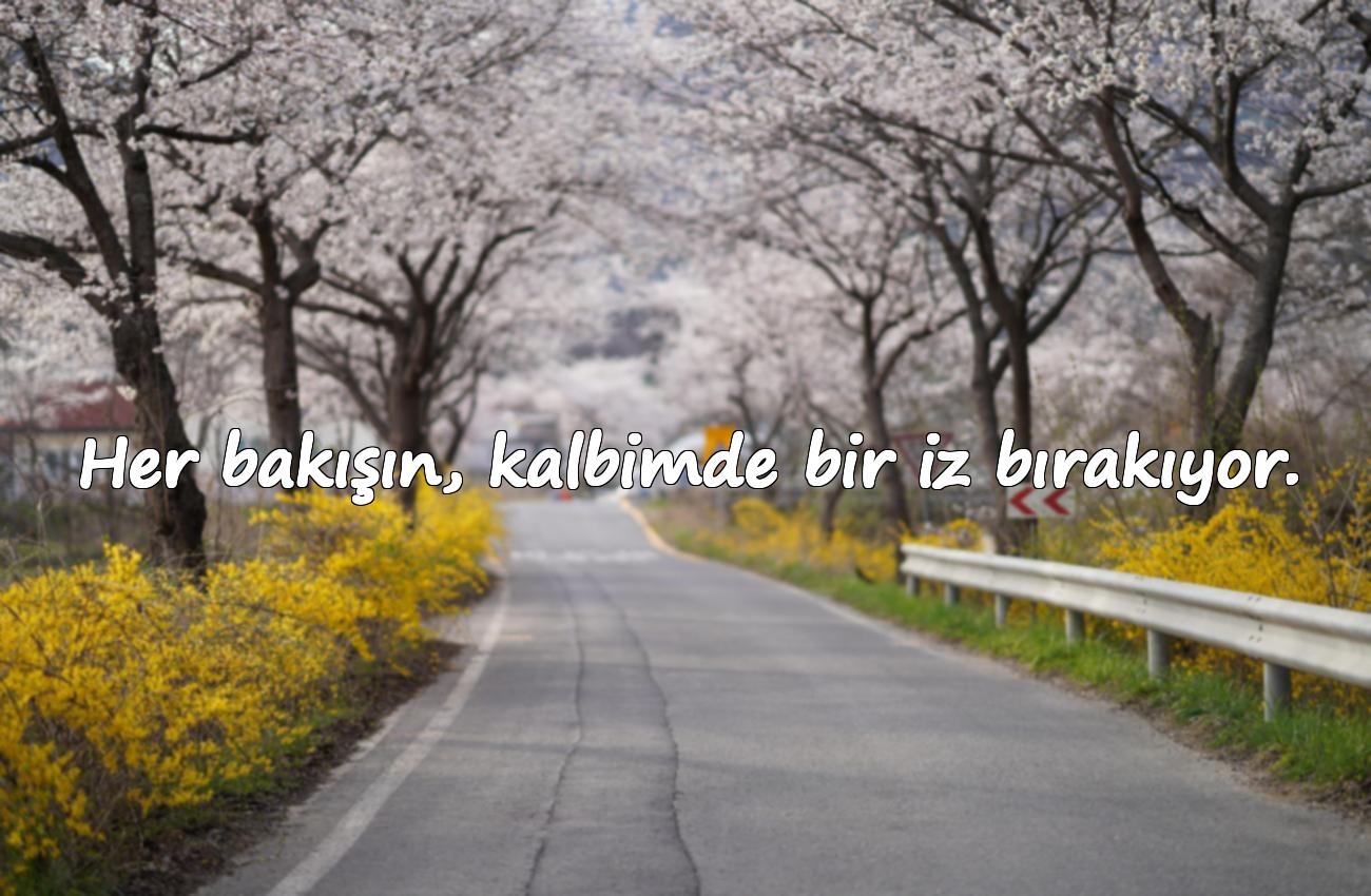 platonik aşk sözleri