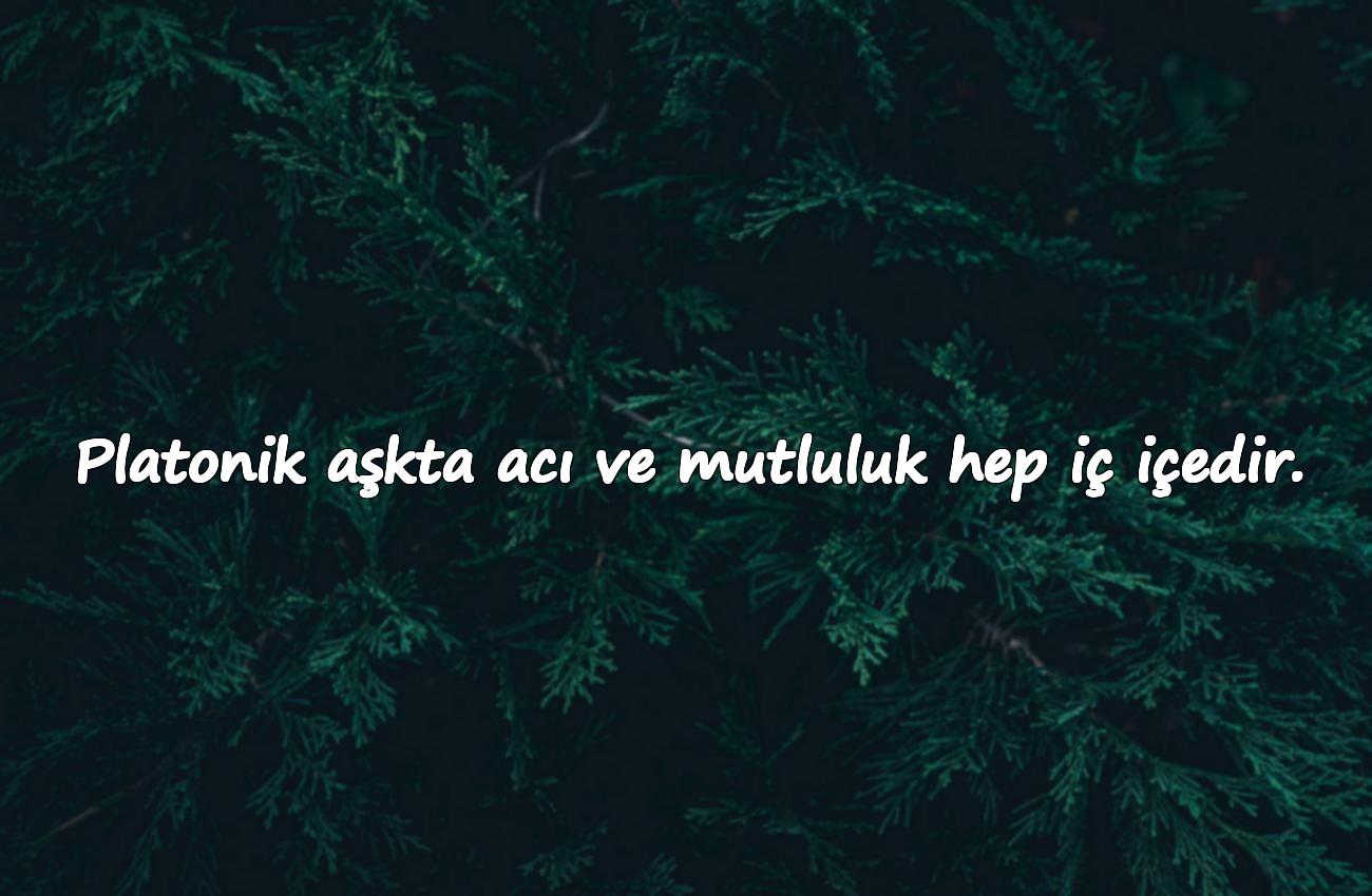 platonik aşk sözleri
