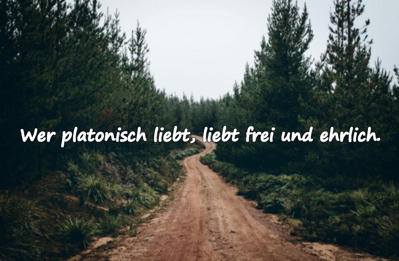 Platonische Liebessprüche