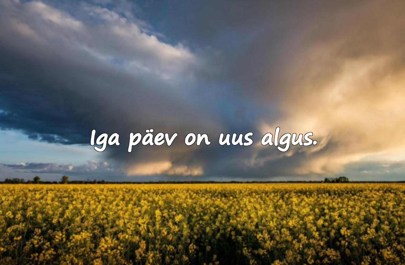 positiivsed tsitaadid