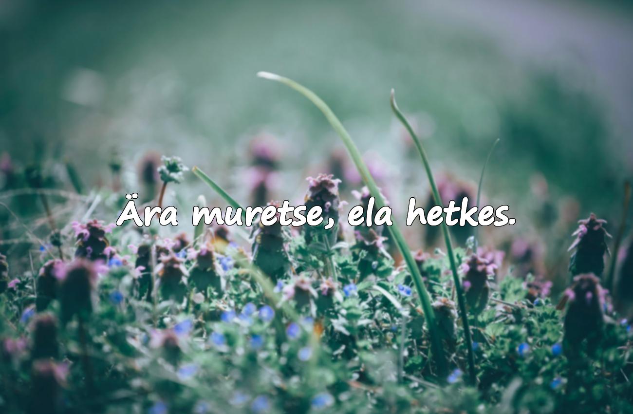 positiivsed tsitaadid