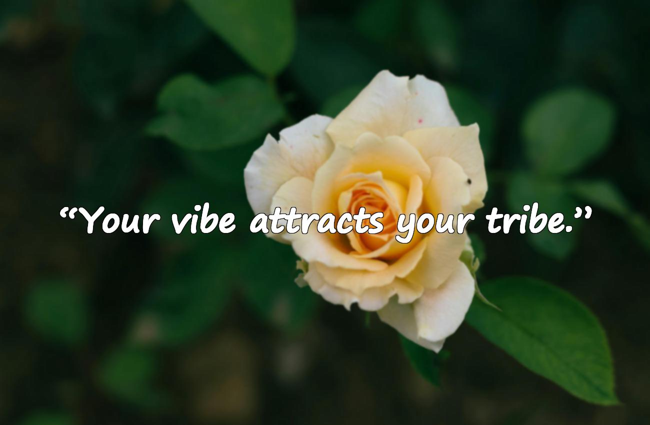 positive energy quotes