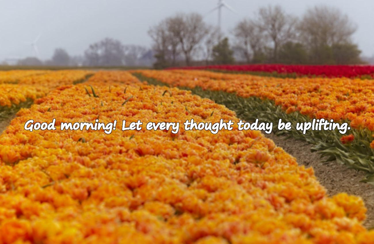 positive good morning quotes