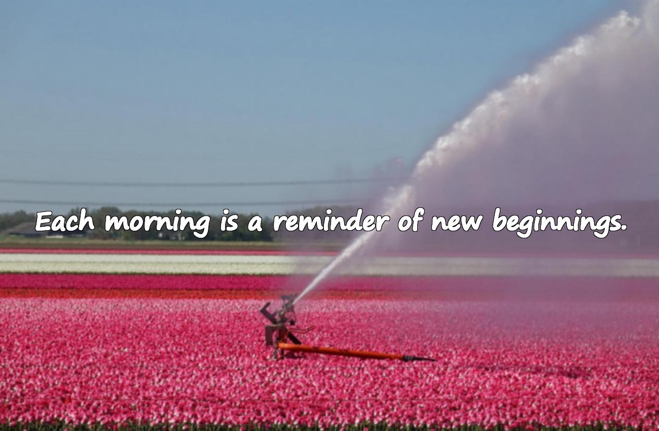 positive good morning quotes