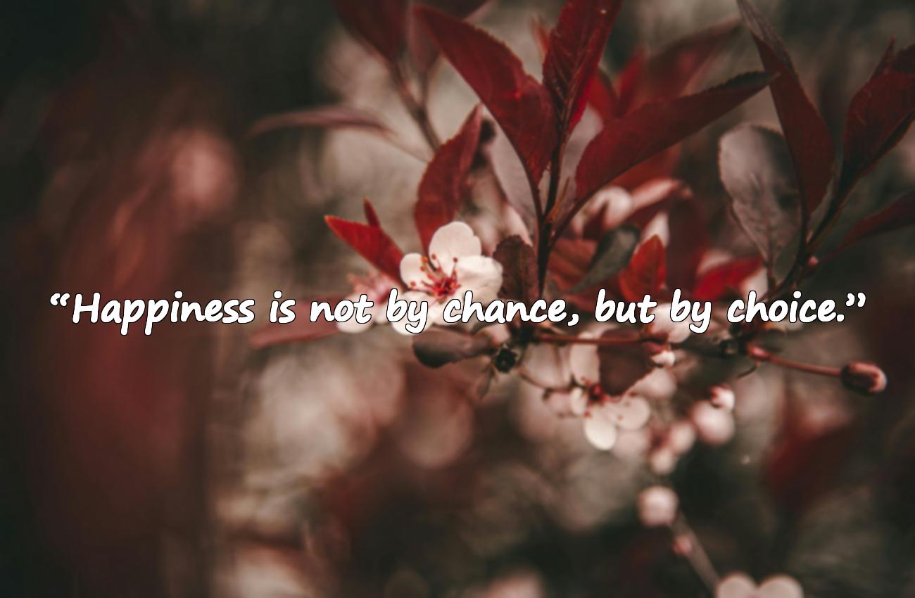 positive life quotes