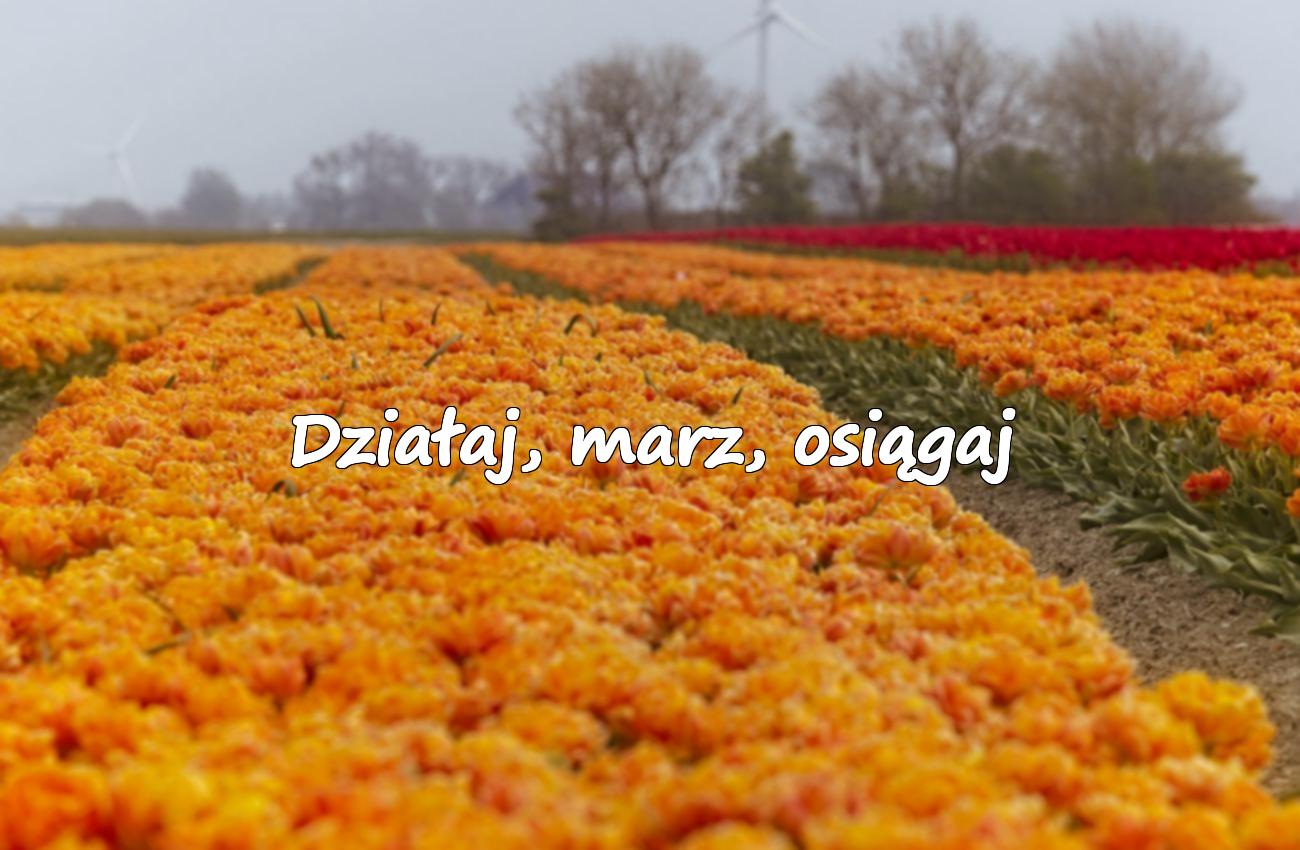 pozytywne motywujące cytaty