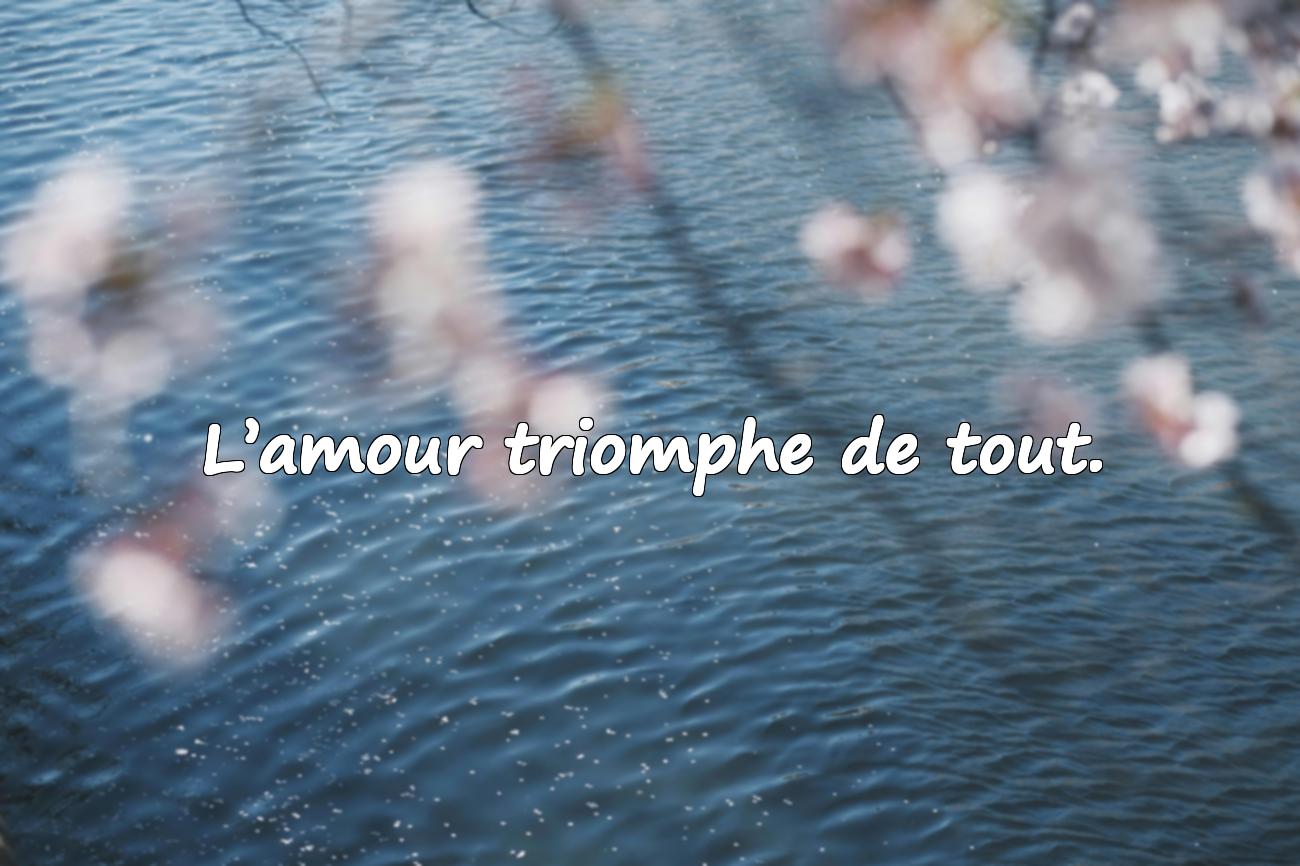 proverbe d amour