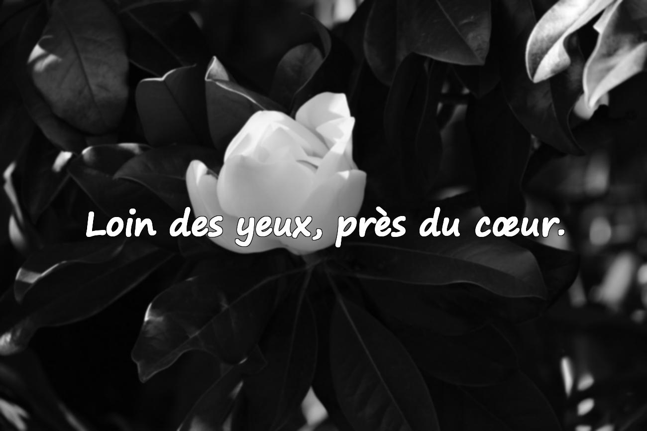 proverbe d amour