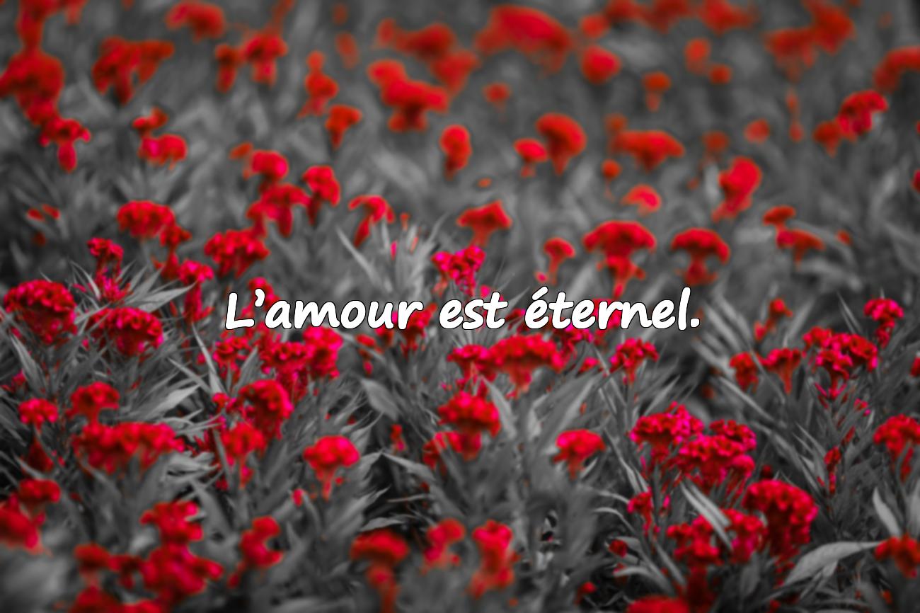 proverbe d amour