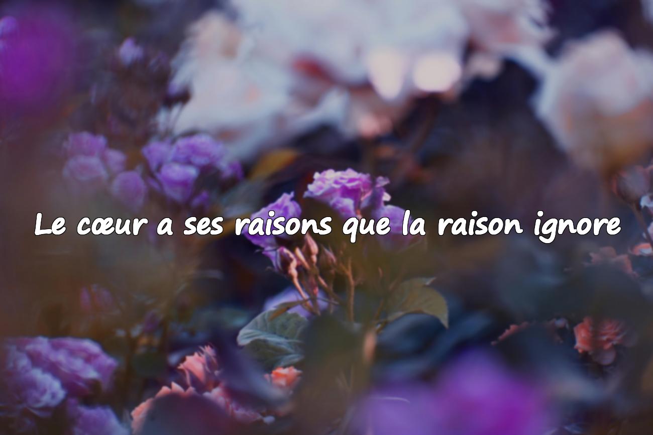proverbe d amour
