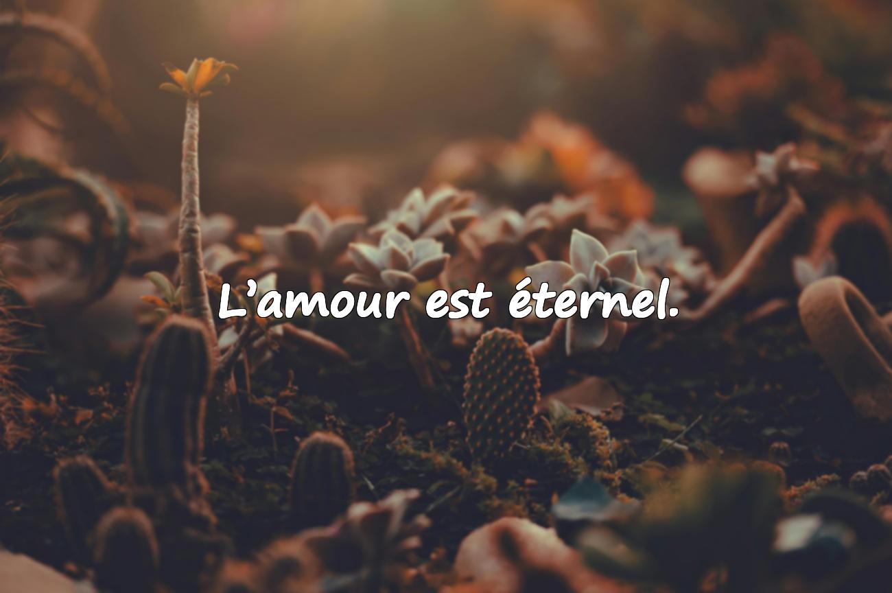 Proverbe d’Amour