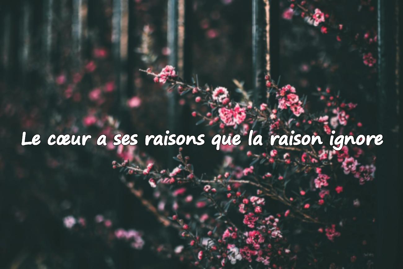 Proverbe d’Amour