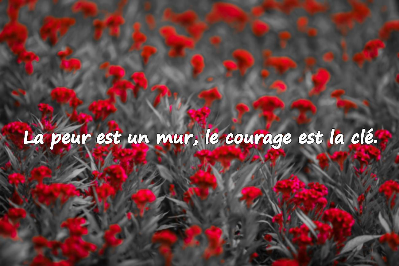 proverbe de courage