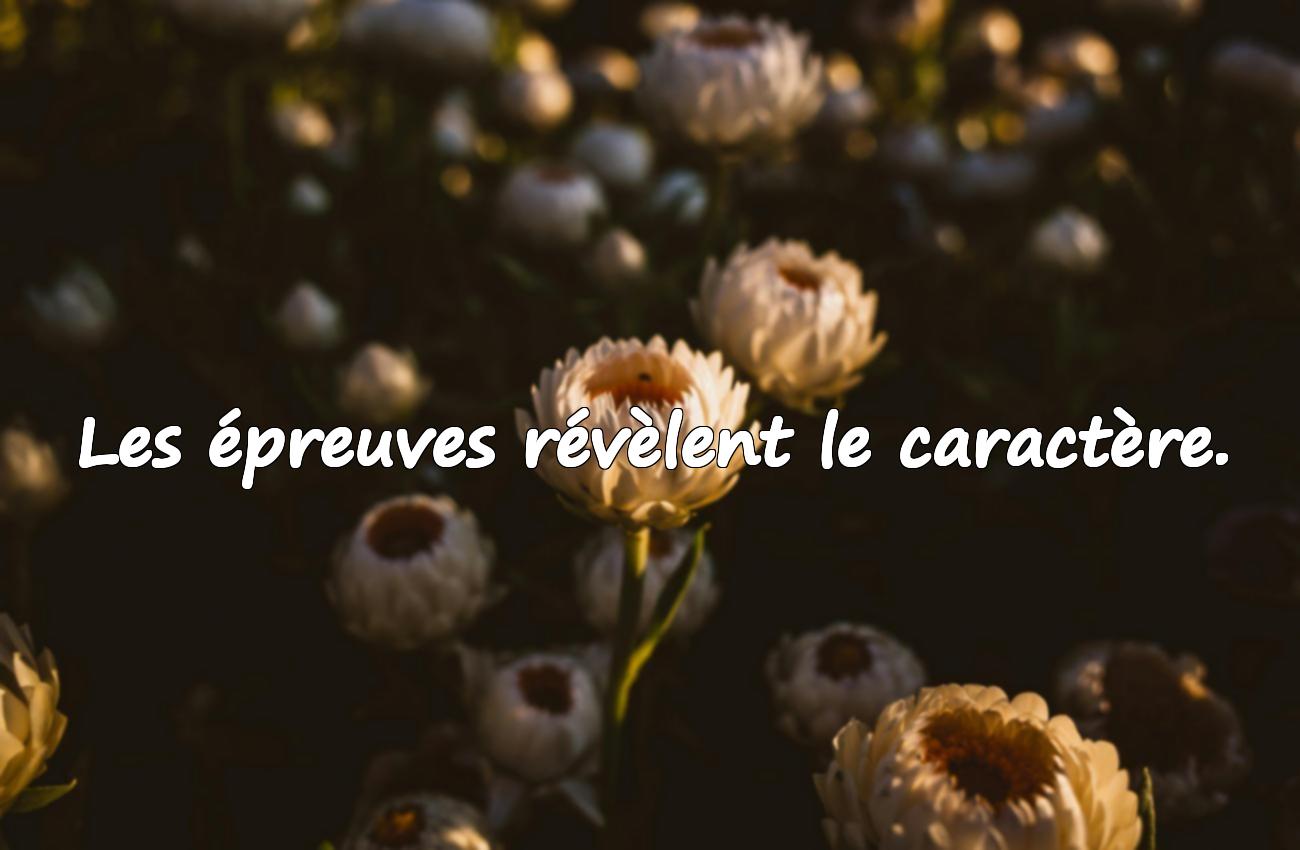 proverbe de sagesse