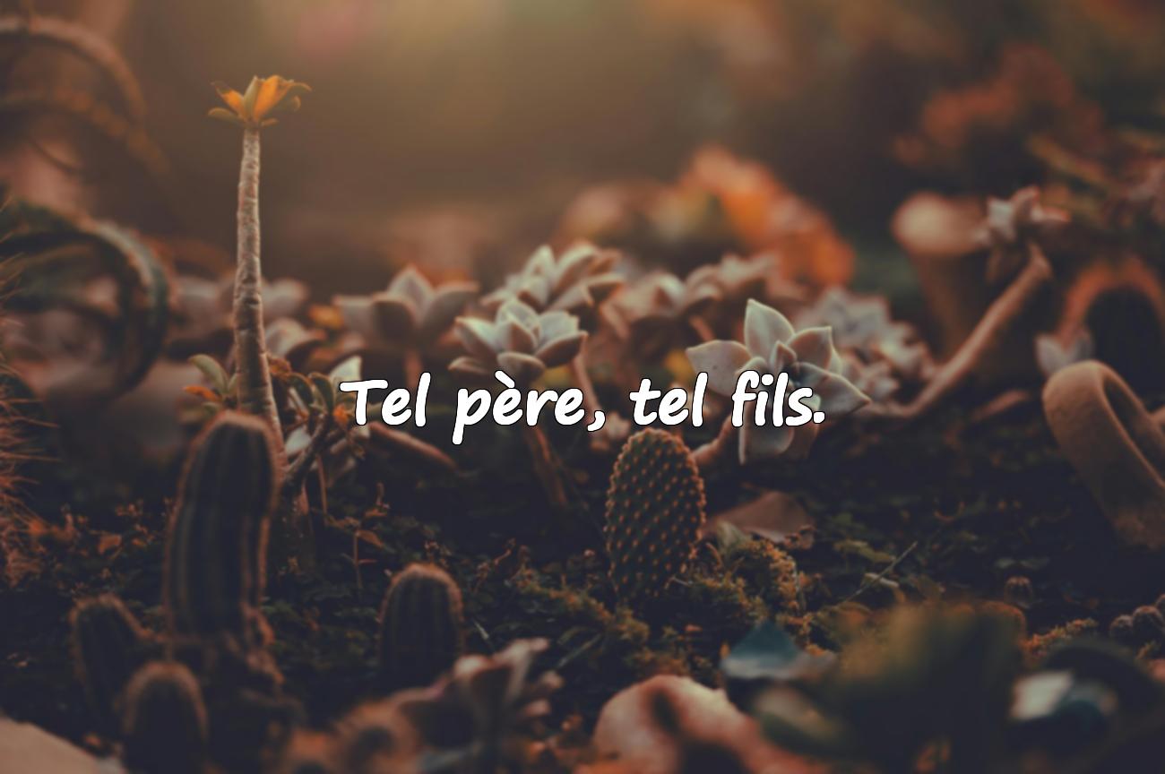 proverbe du jour