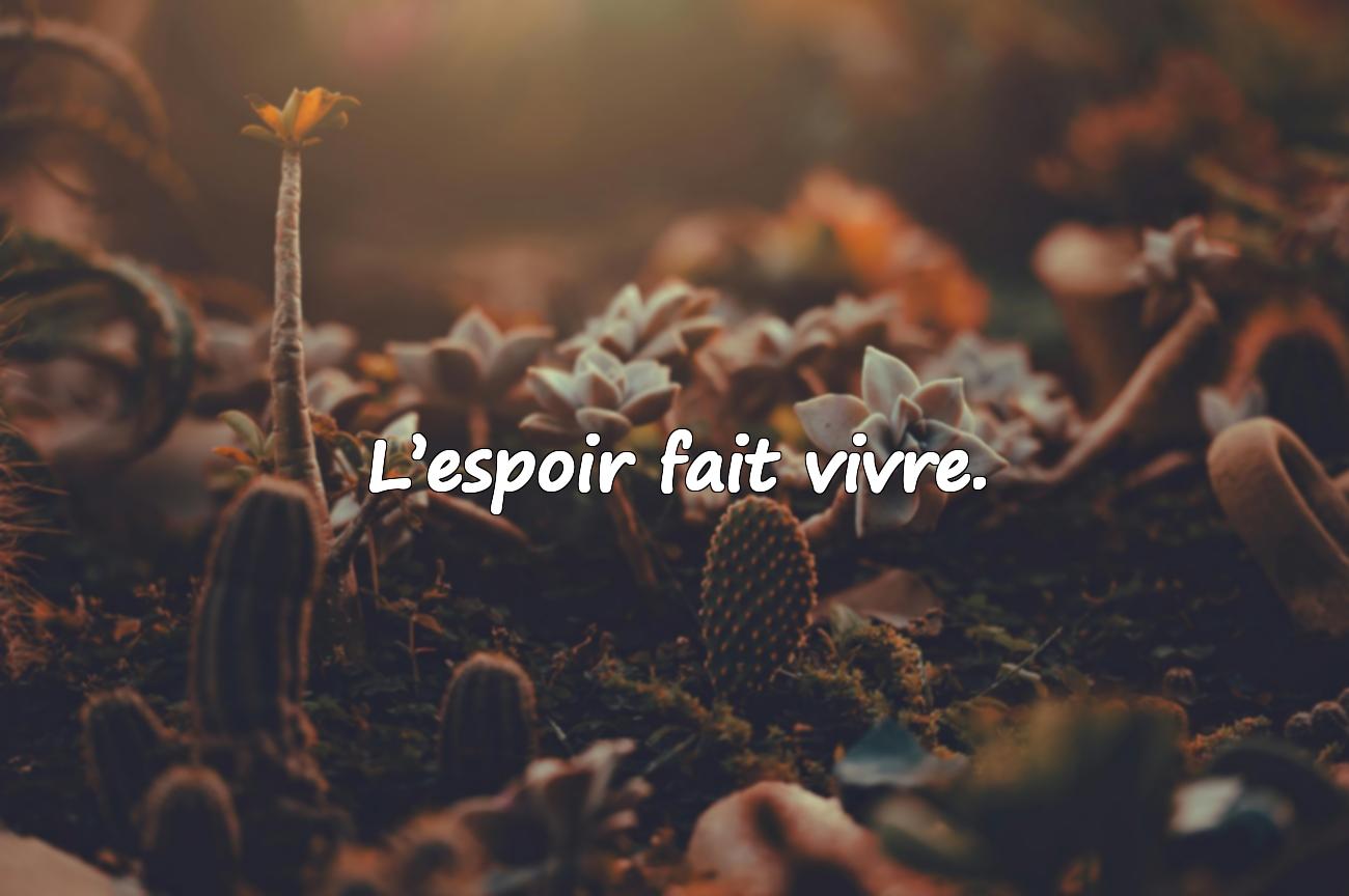 Proverbes Français
