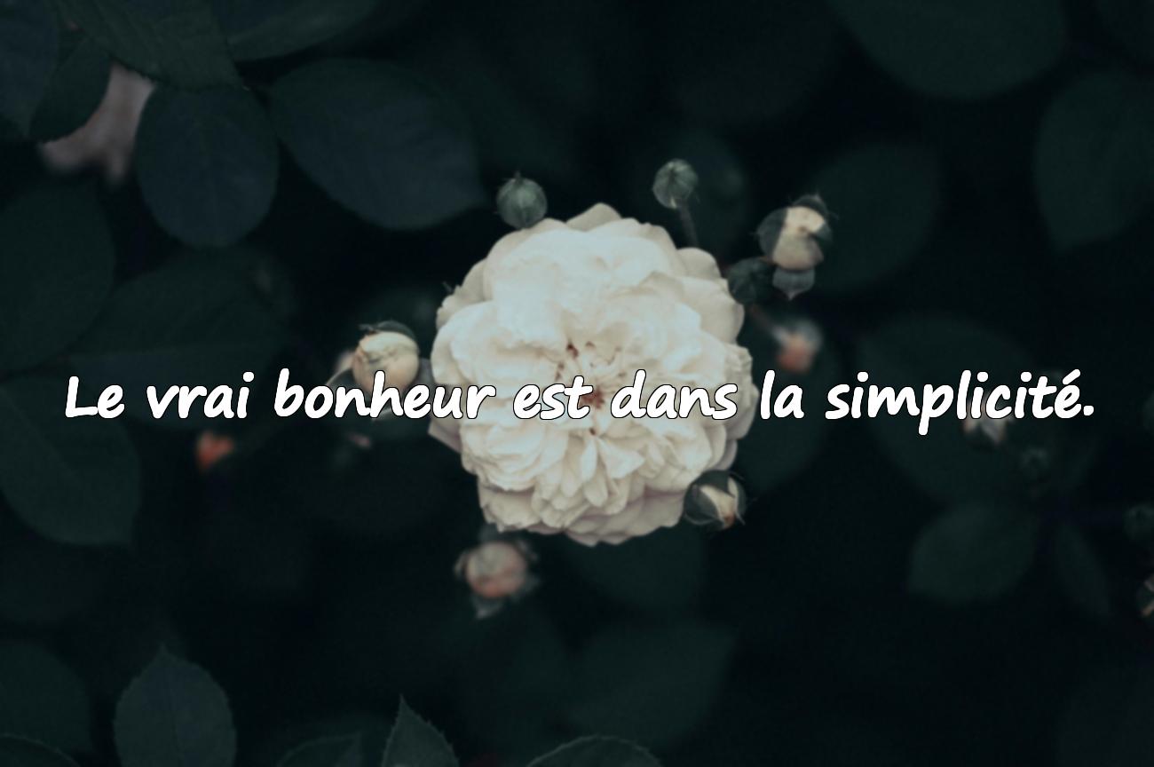 Proverbes sur le Bonheur