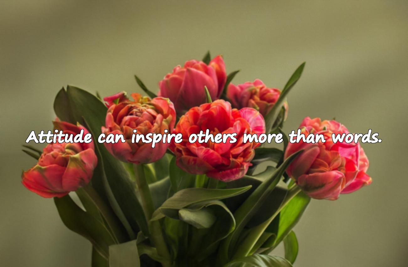 quotations on attitude