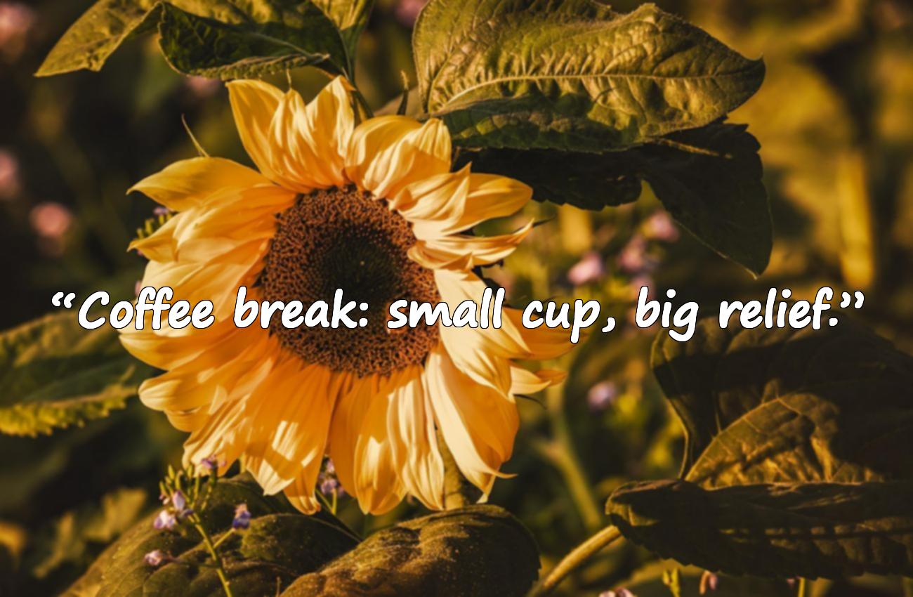 quote coffee break