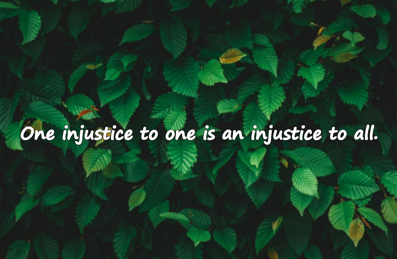 Quotes About Injustice