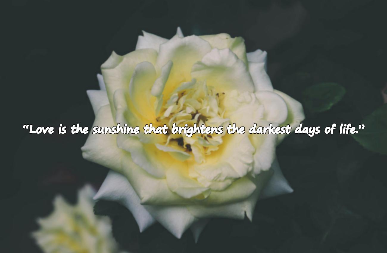 quotes about life and love