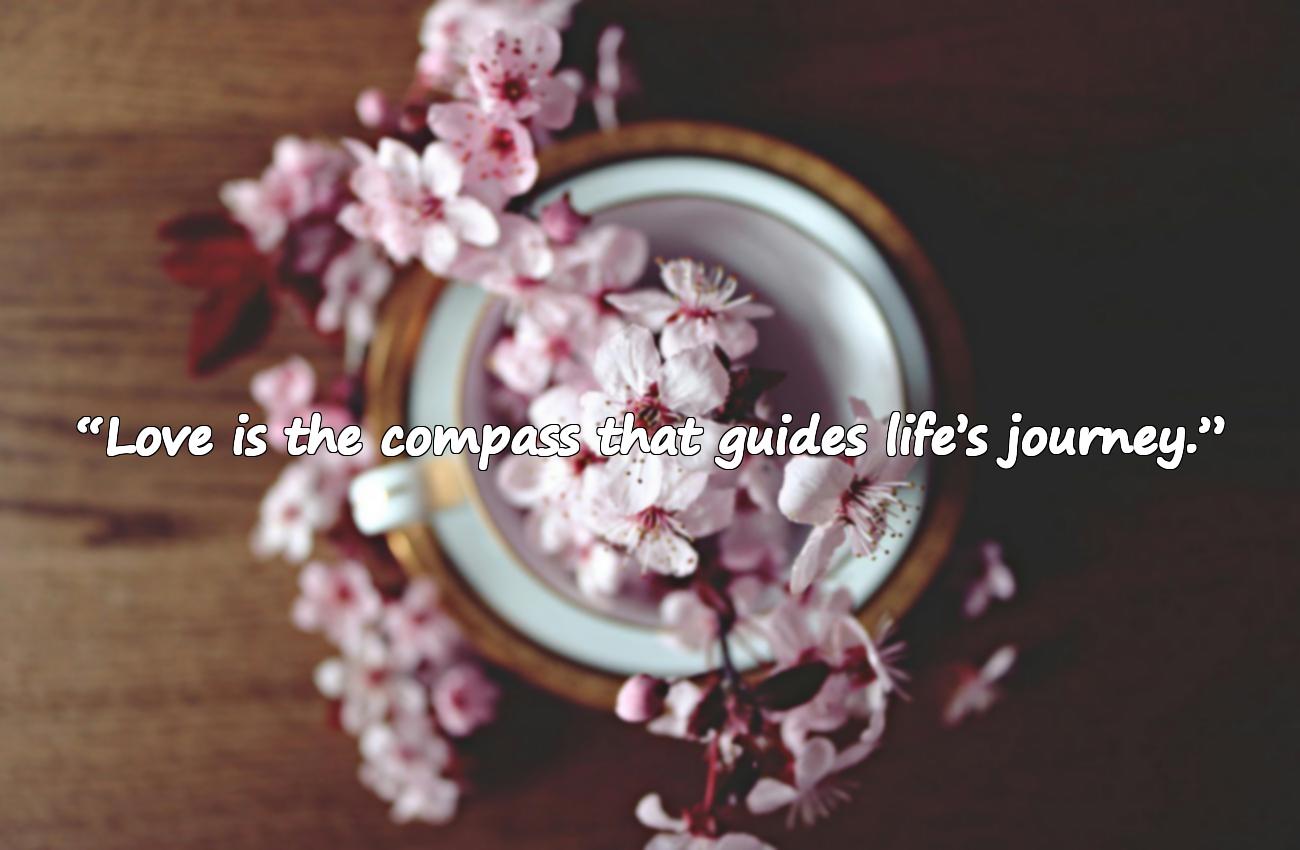 quotes about life and love