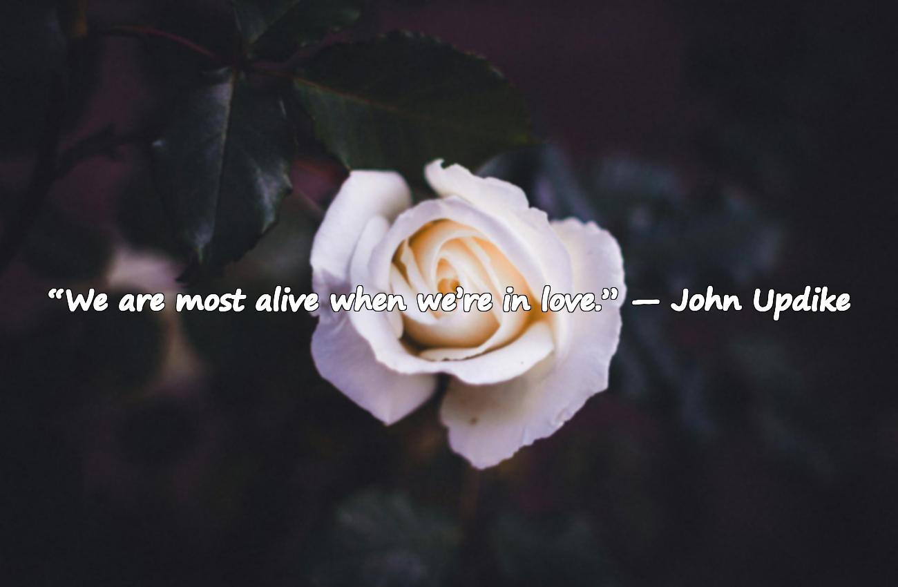 quotes about love and marriage